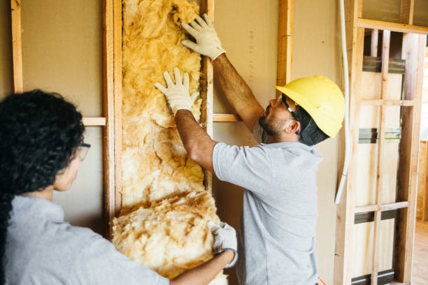 Best Fireproof Insulation  in Chase City, VA